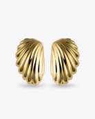 Fluted shell gold statement earrings front view